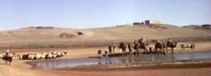 BEDUINEN (DIE WÜSTENBEWOHNER)