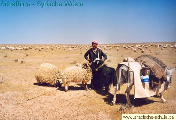 www.arabische-schule.de